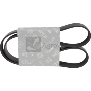 Pasek klinowy wielorowkowy 11995704 504253015