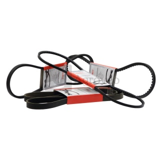 Pasek klinowy wielorowkowy 74712110 R202629, R269530