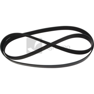 Pasek klinowy wielorowkowy 74712526 R228566, AP1002668