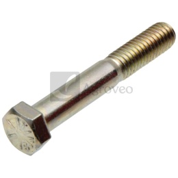 Śruba z łbem sześciokątnym 25270735 19H1733, 19H3031