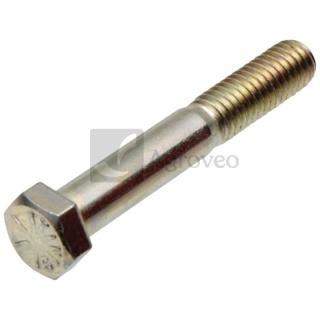 Śruba z łbem sześciokątnym 25270735 19H1733, 19H3031