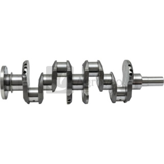 Wał korbowy 38017990 4707125, 8818711