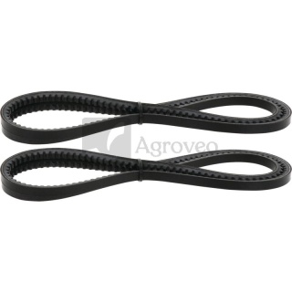 Zestaw pasków klinowych 74706496 F395200001010, X696612400000