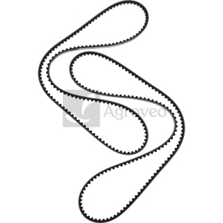 Zestaw pasków klinowych 74715884 3383044M91, X696616800000, AP1002921