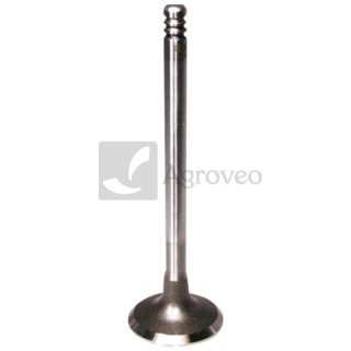 Zawór wydechowy 380060306 04254285, 04283377, 04254935, F119202210110