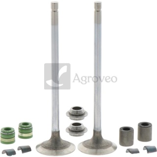 Zestaw zaworów wydechowych 11410741 RE518081, RE557891