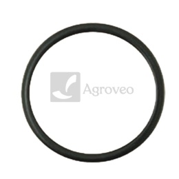 Oring 38060086 F100001174706