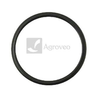 Oring 38060086 F100001174706