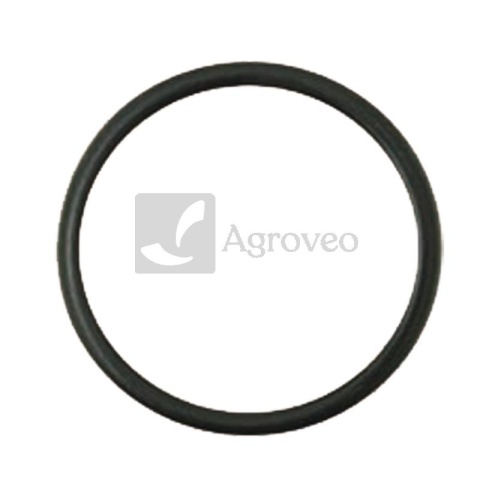 Oring 38060086 F100001174706