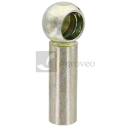 Panewka kulista 38006667 294200020070