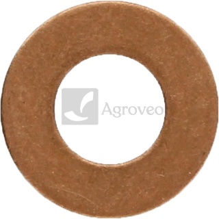 Pierścień uszczelniający 38060065 F390200710080