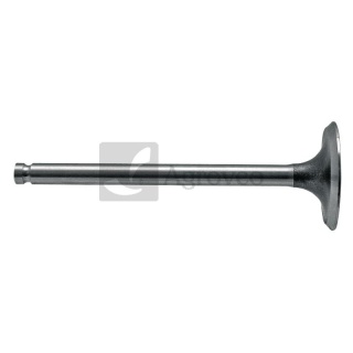 Zawór ssący głowicy silnika fi-38,3mm MF3 perkins Ursus C360 3P MF 31431681 65631431681 3143 1681