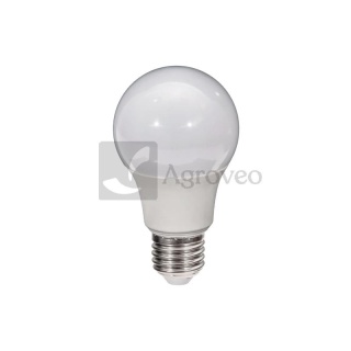 Żarówka LED 693LED-2465H LED-2465