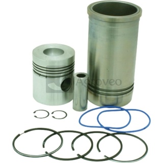 Zestaw naprawczy silnika 65779110099G 6011 0099