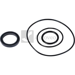 Komplet uszczelnień SMR 667SMRZU25