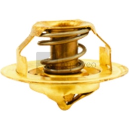 Termostat 6562485C021 2485 C 021