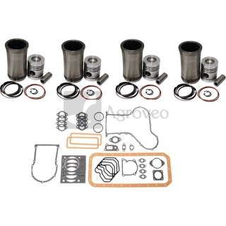 Zestaw naprawczy silnika komplet z uszczelnieniem Ursus C-360 11043878