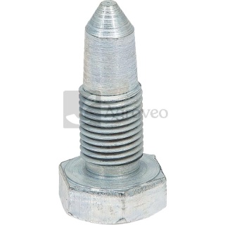 Śruba osi przedniej 65755113313 5511 3313