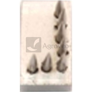 Znak do tatuownicy zaciskowej usznej 648TAU1L 648TAU1L