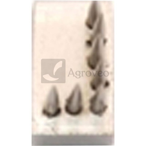 Znak do tatuownicy zaciskowej usznej 648TAU1L 648TAU1L