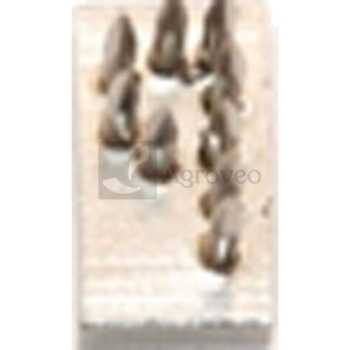 Znak do tatuownicy zaciskowej usznej 648TAU1P TAU1P