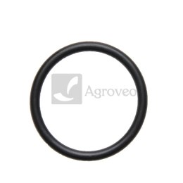 Oring zaworu pompy 634AP21OR35X5 AP 21OR35X5