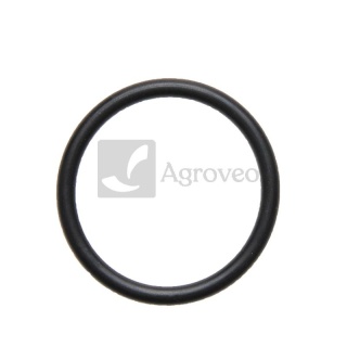 Oring zaworu pompy 634AP21OR35X5 AP 21OR35X5