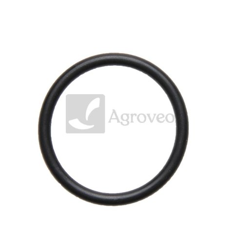 Oring zaworu pompy 634AP21OR35X5 AP 21OR35X5 Oring zaworu pompy 634AP21OR35X5 AP 21OR35X5