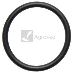 Oring zaworu pompy 634AP21OR38X4 AP 21OR38X4