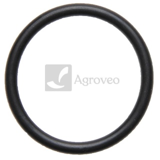 Oring zaworu pompy 634AP21OR38X4 AP 21OR38X4