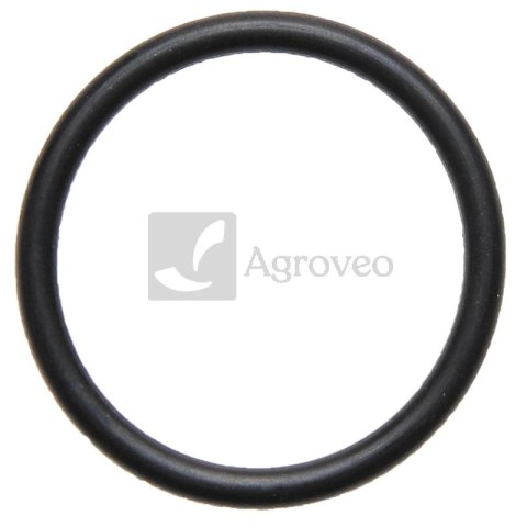 Oring zaworu pompy 634AP21OR38X4 AP 21OR38X4 Oring zaworu pompy 634AP21OR38X4 AP 21OR38X4