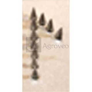 Znak do tatuownicy uderzeniowej 648TAG11 TAG11