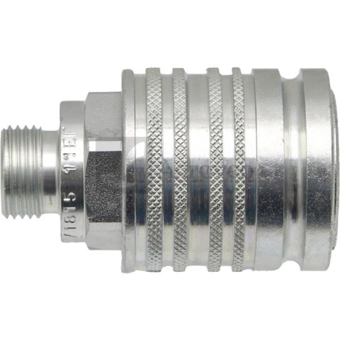 Szybkozłącze grzybkowe 66781511007 81511007 Szybkozłącze grzybkowe 66781511007 81511007