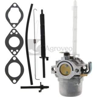 Gaźnik 715796122 796122