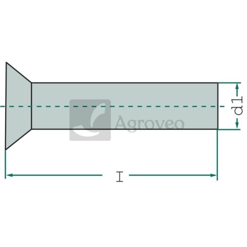 Nit z łbem wpuszczanym 5256.0X20S Nit z łbem wpuszczanym 5256.0X20S