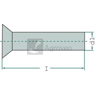 Nity z łbem wpuszczanym 5255.0X22S