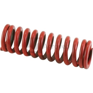 Sprężyna napinacza 6905036020500 5036/02-050/0