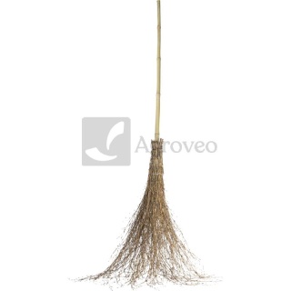 Miotła z gałązek bambusowa 200 cm 76570029