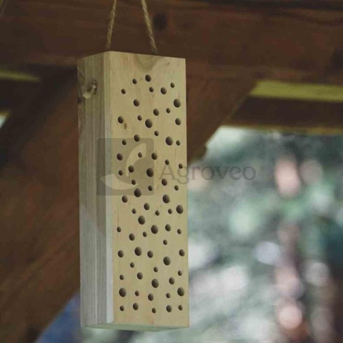 Hotel dla pszczół Silea 11416736