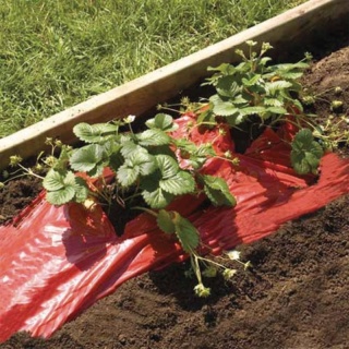 Folia do ochrony przed chwastami 76570621