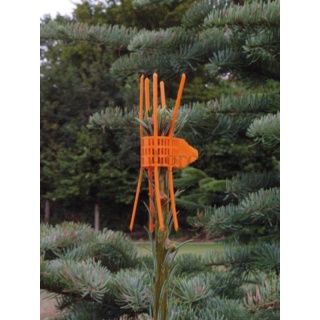 Kołnierz ochronny 32270713