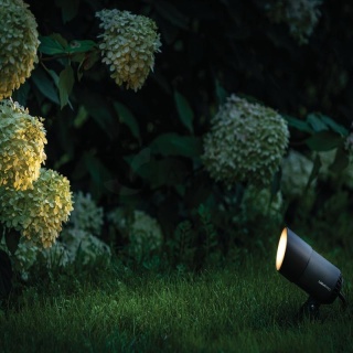 Osłona przeciwodblaskowa do reflektorów Castor 76500017