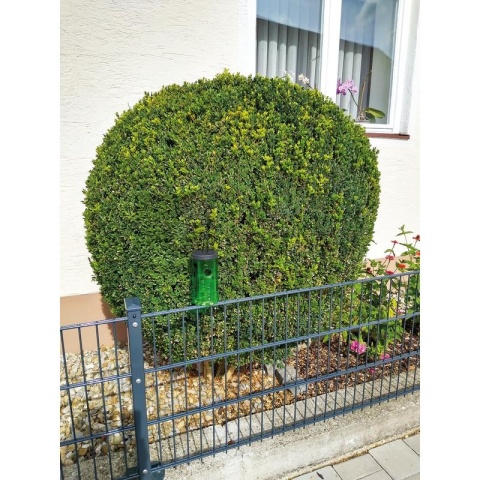 Pułapka na ćmy bukszpanowe, w zestawie z 7651440001K
