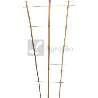 Trellis 11319172