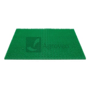 Mata koronowa 76570746