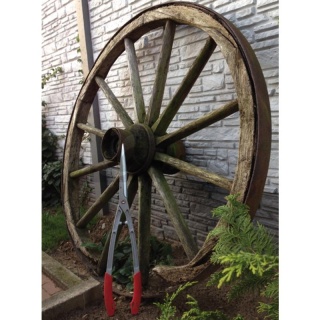 Nożyce do żywopłotu B1000L 76570385 B1000L