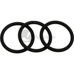 Oringi pompy (Ø 28,15 x 3,5) 532706460.0000
