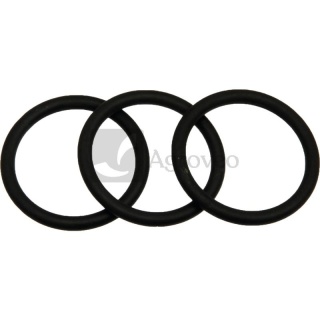 Oringi pompy (Ø 28,15 x 3,5) 532706460.0000