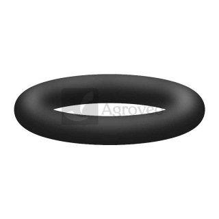 Oring 22200144