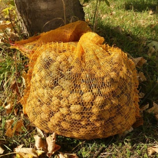 Worek raszlowy 7657246